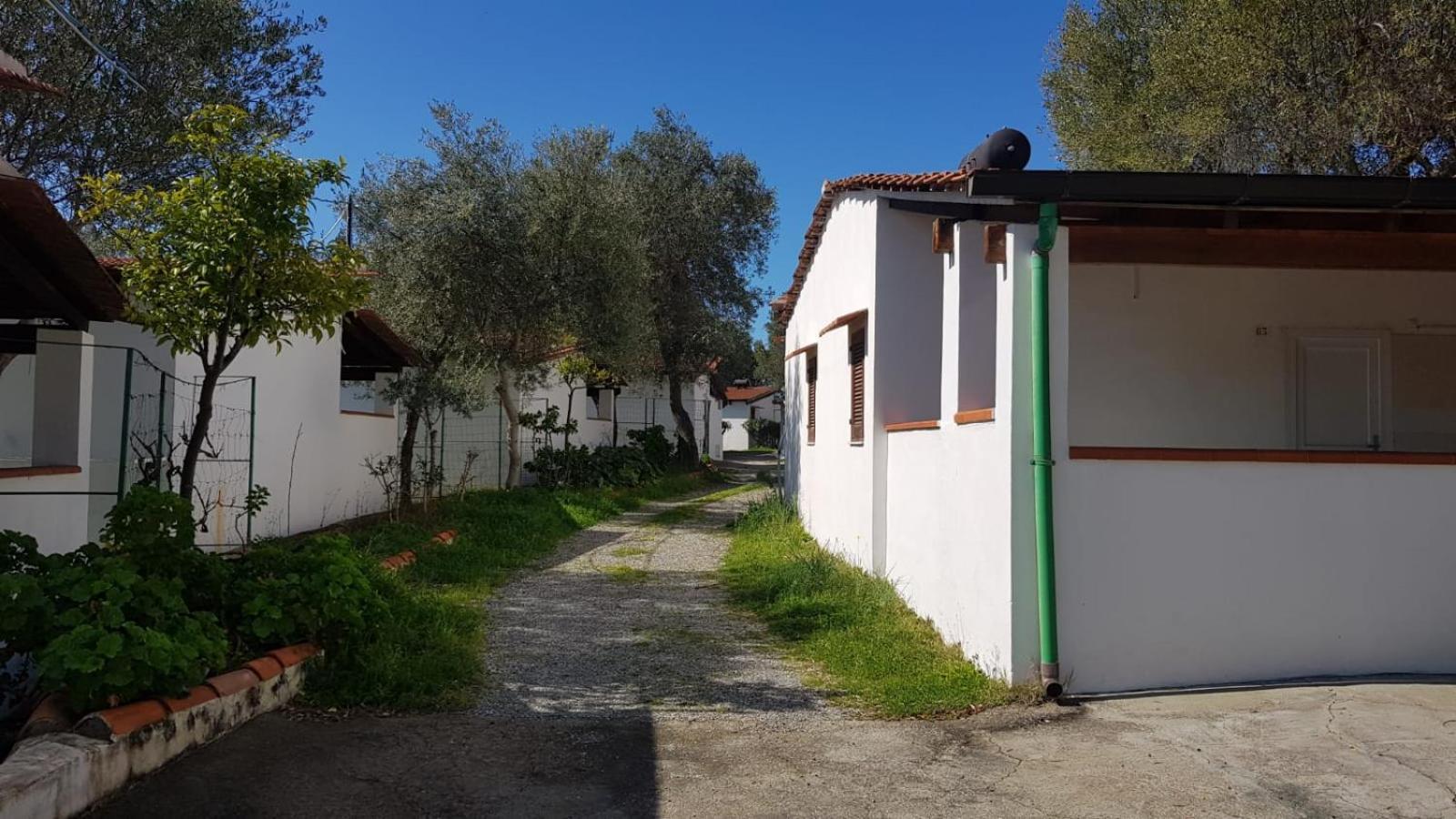 מרינה די קמרוטה Villaggio Residence Villamarina מראה חיצוני תמונה
